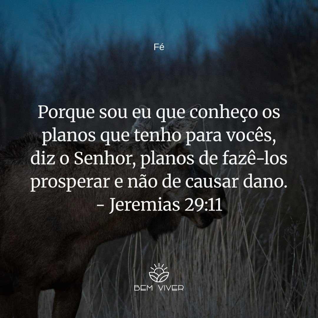 Deus tem um plano perfeito para você